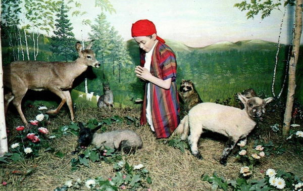 Call of the Wild - Vintage Promo Material (newer photo)